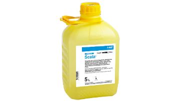 basf scala fongicide